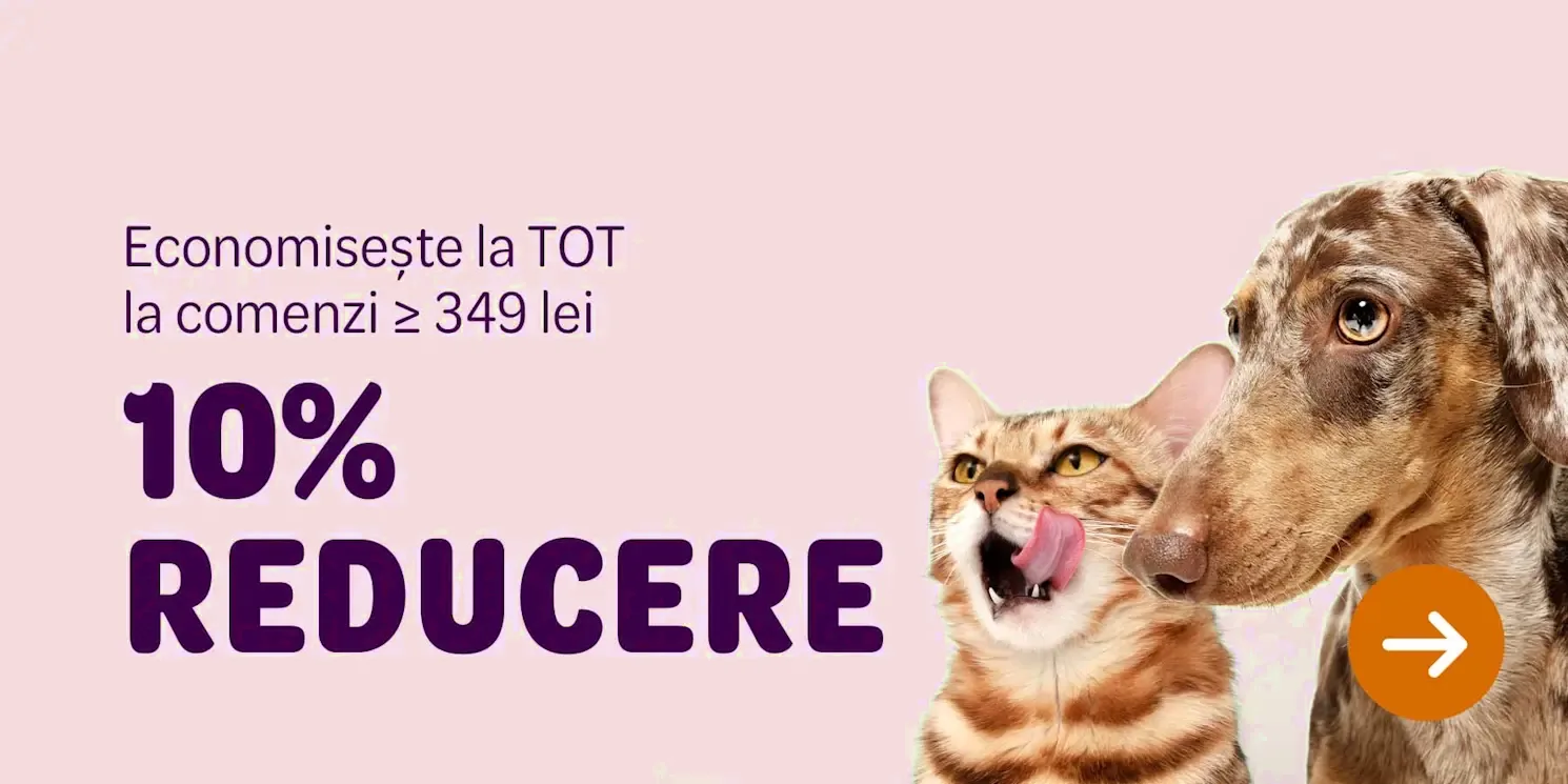 Snackuri si Recompense